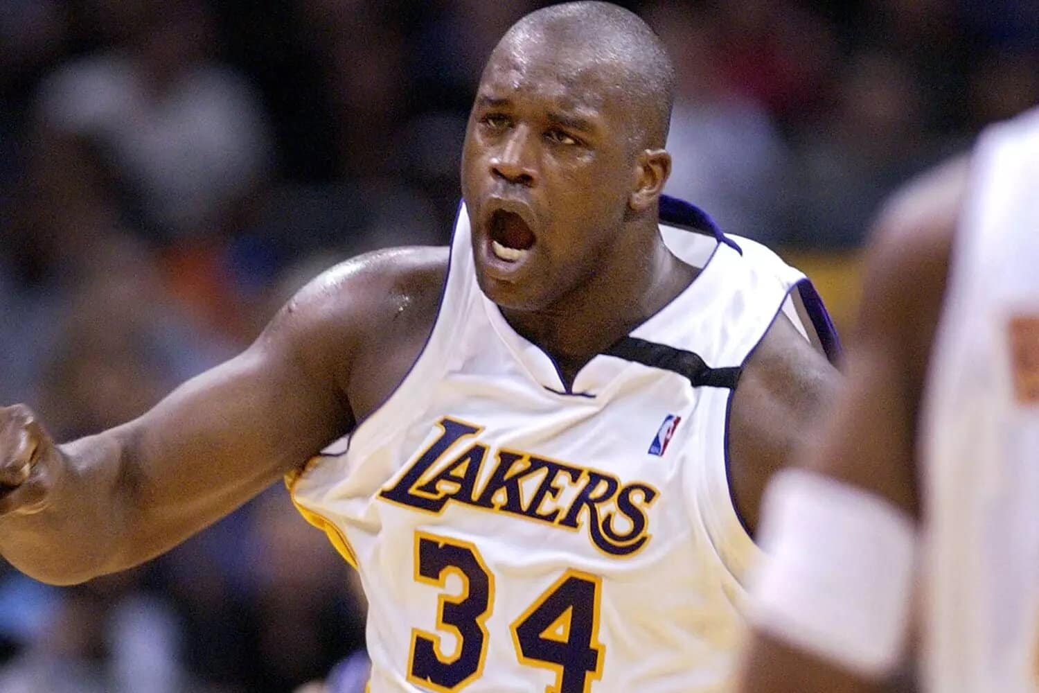 Shaquille O’Neal sa tille et pointure de chaussures